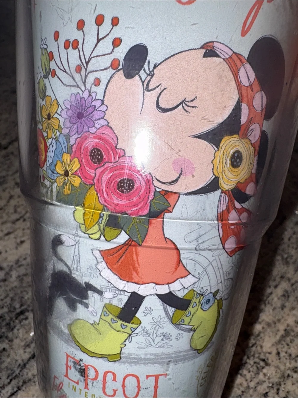 tervis Minnie Mouse Epcot Flower and Garden tumbler